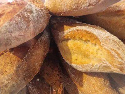 Как использовать хлебный настой для улучшения урожая овощей: дешевое и эффективное удобрение - belnovosti.by