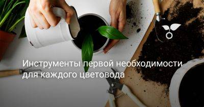 Инструменты первой необходимости для каждого цветовода - botanichka.ru