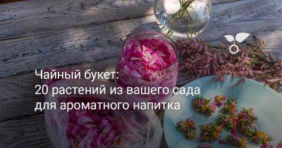Чайный букет: 20 растений из вашего сада для ароматного напитка - botanichka.ru