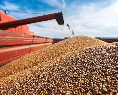Цены на пшеницу вернутся к росту не скоро - rynok-apk.ru - Россия - Краснодарский край - Ростовская обл.