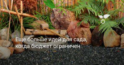 Ещё больше идей для сада, когда бюджет ограничен - botanichka.ru