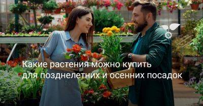 Какие растения можно купить для позднелетних и осенних посадок - botanichka.ru - Воронеж