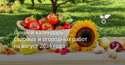 Лунный календарь садовода и огородника на август 2024 года - botanichka.ru
