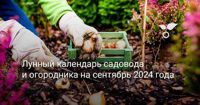 Лунный календарь садовода и огородника на сентябрь 2024 года - botanichka.ru