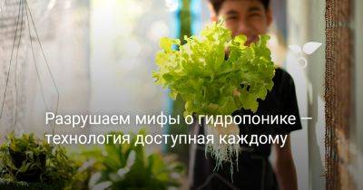 Разрушаем мифы о гидропонике — технология доступная каждому - botanichka.ru