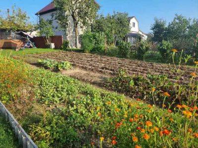 Лунный календарь огородника и садовода с 16 по 22 сентября: что обязательно нужно сделать - belnovosti.by