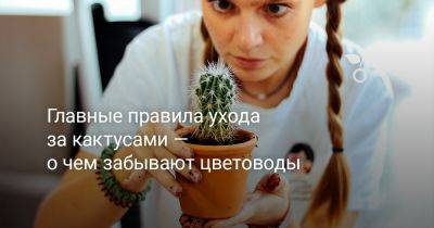 Главные правила ухода за кактусами — о чем забывают цветоводы - botanichka.ru