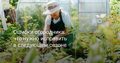 Ошибки огородника: что нужно исправить в следующем сезоне - botanichka.ru