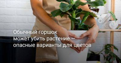 Обычный горшок может убить растение — опасные варианты для цветов - botanichka.ru