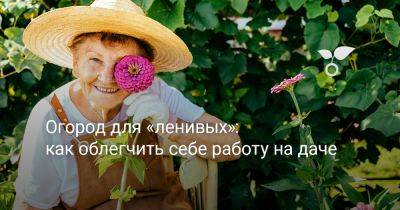 Огород для «ленивых»: как облегчить себе работу на даче - botanichka.ru