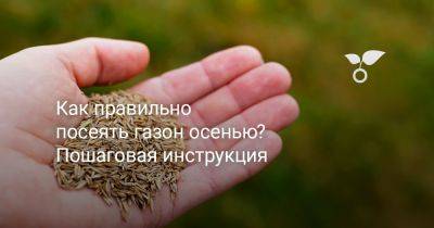 Как правильно посеять газон осенью? Пошаговая инструкция - botanichka.ru - Московская обл.