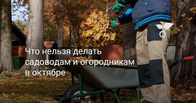 Что нельзя делать садоводам и огородникам в октябре - botanichka.ru