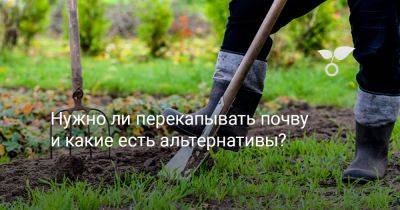 Нужно ли перекапывать почву и какие есть альтернативы? - botanichka.ru