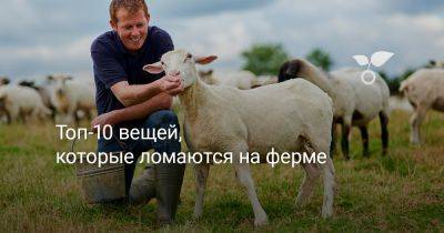 Топ-10 вещей, которые часто ломаются на ферме — и как с ними справиться? - botanichka.ru