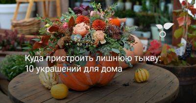 Куда пристроить лишнюю тыкву? 10 интересных идей - botanichka.ru