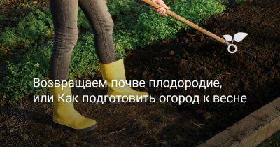 Возвращаем почве плодородие, или Как подготовить огород к весне - botanichka.ru