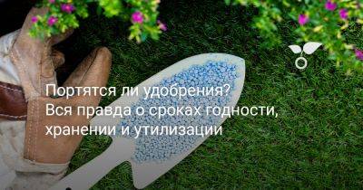 Портятся ли удобрения? Вся правда о сроках годности, хранении и утилизации - botanichka.ru