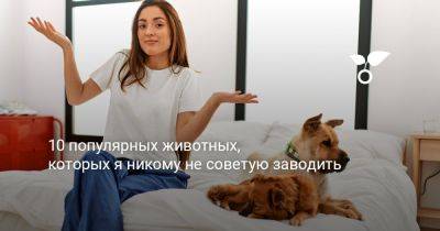 10 популярных животных, которых я никому не советую заводить - botanichka.ru