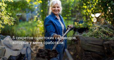 5 секретов советских садоводов, которые у меня сработали - botanichka.ru