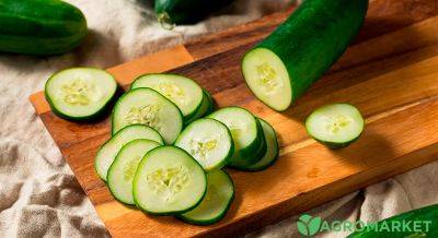 Горькие огурцы в теплице: причины и как это предотвратить - agro-market.net