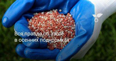 Вся правда об азоте в осенних подкормках - botanichka.ru