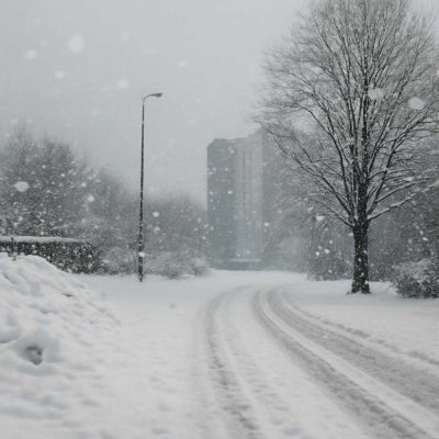 Снег — бесшумный дружинник сада - selomoe.ru