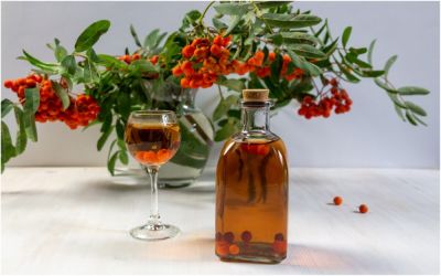 Скрашиваем холода: домашние настойки и наливки осенью - ogorod.ru - г. Виноград