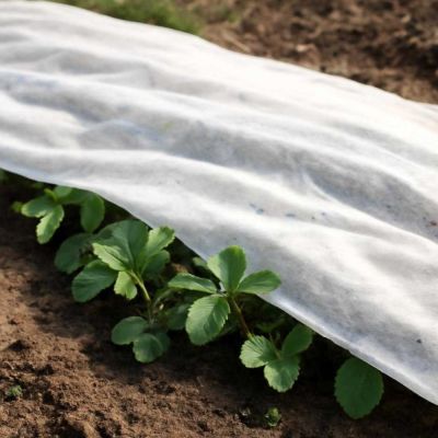 Белый мел против белых лент - selomoe.ru