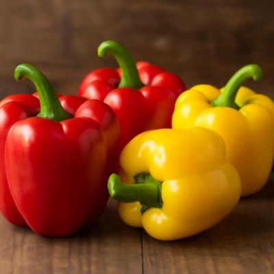 Посев острого перца без промахов - selomoe.ru - Ставрополье край