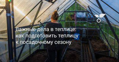 Важные дела в теплице — создаем идеальные условия для урожая - botanichka.ru