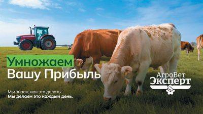 Независимый консалтинг как рычаг рентабельности: как «Агроветэксперт» помогает хозяйствам выжимать максимум из молока и минимум из затрат - rynok-apk.ru - Россия