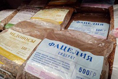 Игорь Зур - Чем засеять грядку после уборки картошки: весной почва будет как чернозем - belnovosti.by