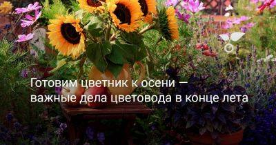 Готовим цветник к осени — важные дела цветовода в конце лета - botanichka.ru