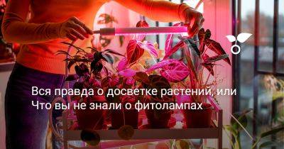 Вся правда о досветке растений, или Что вы не знали о фитолампах - botanichka.ru