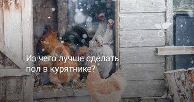 Из чего лучше сделать пол в курятнике? - botanichka.ru