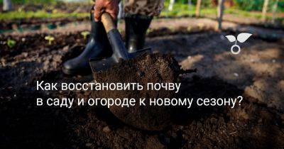 Как восстановить почву в саду и огороде к новому сезону? - botanichka.ru
