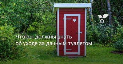 Что вы должны знать об уходе за дачным туалетом - botanichka.ru