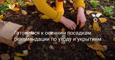 Готовимся к осенним посадкам — шаг за шагом, чтобы всё учесть - botanichka.ru - г. Виноград