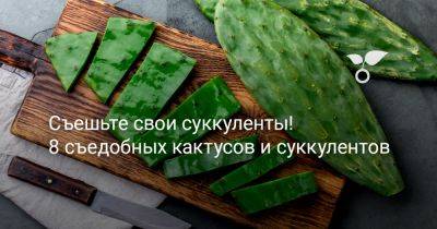 Их едят? 8 съедобных кактусов и суккулентов, которые удивят - botanichka.ru