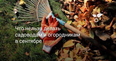 Что нельзя делать садоводам и огородникам в сентябре - botanichka.ru