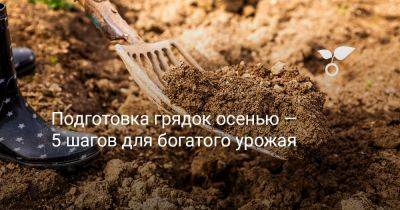 Подготовка грядок осенью — 5 шагов для богатого урожая - botanichka.ru - республика Коми
