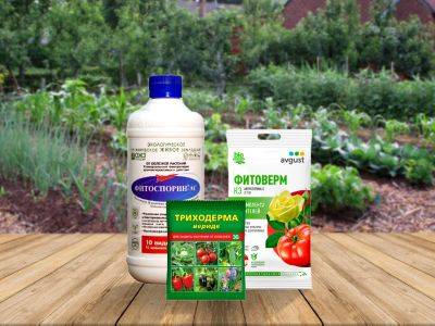 Биопрепараты как основа здорового сада и богатого урожая. - greenterra.by