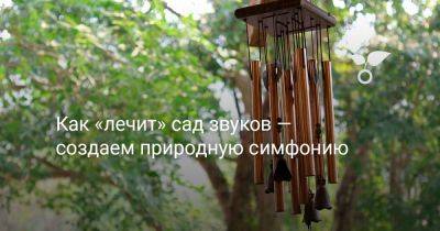 Как «лечит» сад звуков — создаем природную симфонию - botanichka.ru - Китай - Япония
