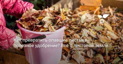 Как превратить опавшие листья в полезное удобрение? Всё о листовой земле - botanichka.ru