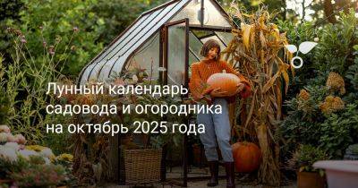 Лунный календарь садовода и огородника на октябрь 2025 года - botanichka.ru