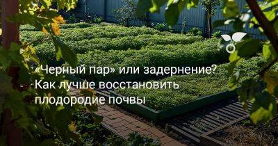 «Черный пар» или задернение? Как лучше восстановить плодородие почвы - botanichka.ru