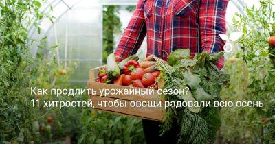 Как продлить урожайный сезон? 11 хитростей, чтобы овощи радовали всю осень - botanichka.ru